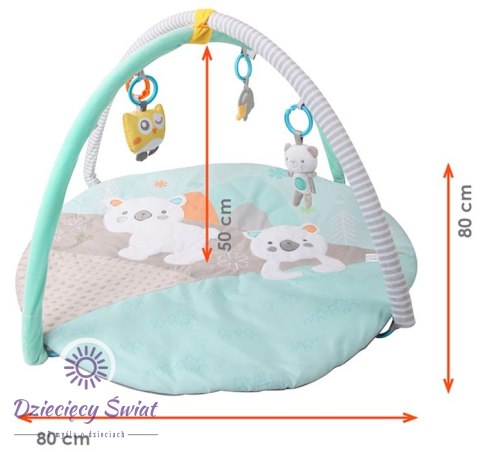 Miś polarny Mata edukacyjna