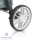 FLEX Euro-Cart w 4 kolorach komfortowy wózek spacerowy do 22kg