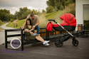 Euforia Premium Black 2w1 Paradise Baby kolor 10 wózek dziecięcy w niepowtarzalnej gondoli