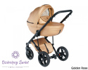 Max 500 2w1 Golden Rose Dada Prams wózek dziecięcy zapewniający idealny komfort maluszka