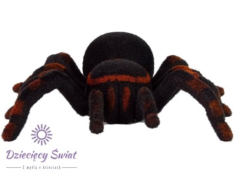 Zdalnie Sterowany Pająk Tarantula Czarny R/C