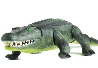 Zdalnie Sterowany Aligator R/C Chodzi Duży Zielony