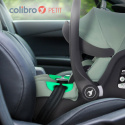 Colibro PETIT I-size Pine – Fotelik Samochodowy dla Niemowląt 40-87 cm ISOFIX z Normą i-Size