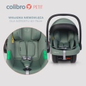 Colibro PETIT I-size Pine – Fotelik Samochodowy dla Niemowląt 40-87 cm ISOFIX z Normą i-Size