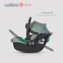 Colibro PETIT I-size Pine – Fotelik Samochodowy dla Niemowląt 40-87 cm ISOFIX z Normą i-Size