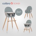COLIBRO SCANDI 3w1 Agava – Krzesełko do karmienia i krzesło dla starszaka