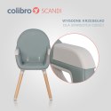 COLIBRO SCANDI 3w1 Agava – Krzesełko do karmienia i krzesło dla starszaka
