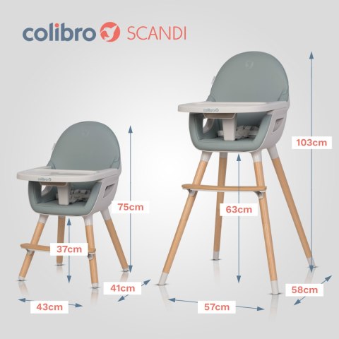 COLIBRO SCANDI 3w1 Agava – Krzesełko do karmienia i krzesło dla starszaka