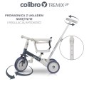 COLIBRO Rowerek dziecięcy TREMIXUP ASH