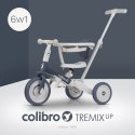 COLIBRO Rowerek dziecięcy TREMIXUP ASH