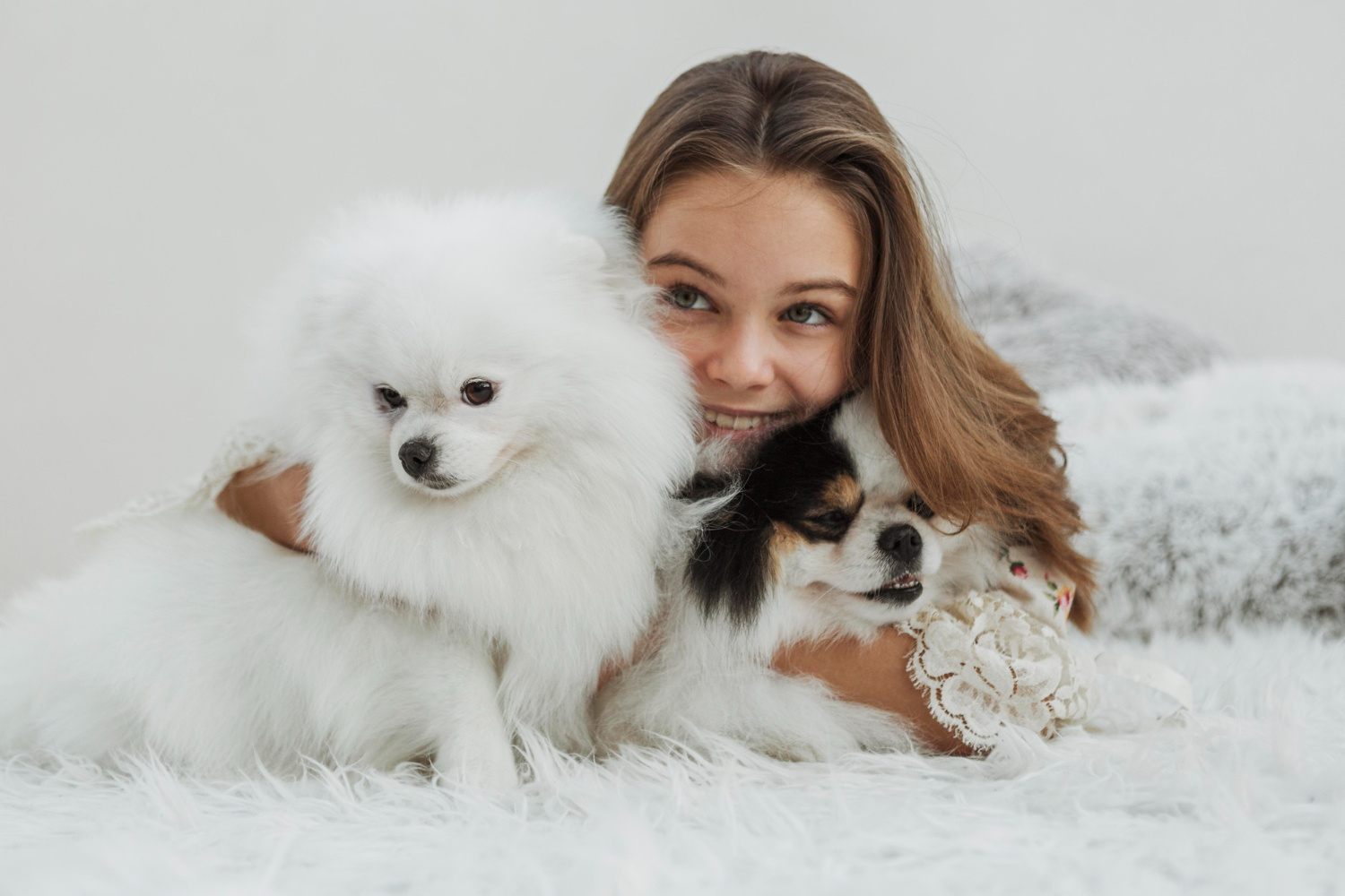Pomeranian - jaki ma charakter i stosunek do dzieci?